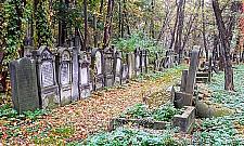 Wielkie zmiany na "żydowskich Powązkach". Jeden z najważniejszych polskich cmentarzy