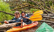 Wspomnienie z wakacji. Piekło, mafia, stereotypy i kordon