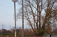 Strach chodzi� przez park G�rczewska. "Przera�aj�co ciemno"