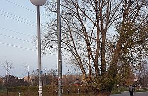 Strach chodzić przez park Górczewska. "Przerażająco ciemno"