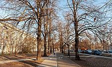 Aleja Zjednoczenia jak nowa. "Poprawimy parkowanie"