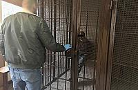 Rowerowy bandyta zatrzymany. "Pryska� gazem w twarz"