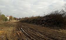 Dłuższa Światowida, dłuższe tory. Imponujący plac budowy