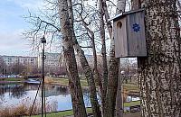 Komary nie maj� szans. Trzysta dom�w dla jerzyk�w