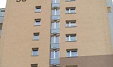 Komary nie mają szans. Trzysta domów dla jerzyków