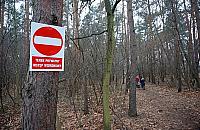 Las do wycinki? Inwestor chce postawić willowe osiedle