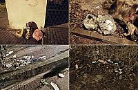 Stare Bielany zaśmiecone, zastawione autami. "To lokalsi, nie przyjezdni"