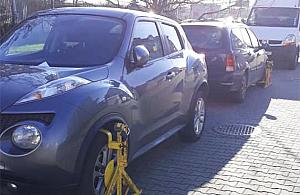 Żółta fala na Lewandowie. "Ulubiony warszawski sport"