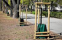 Worki na wodę dla... drzew. Pomysł dla Warszawy