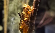 Wystawa nie z tego świata. Tylko dwa miesiące