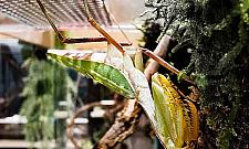 Wystawa nie z tego świata. Tylko dwa miesiące