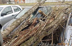 Wichura niszczyła auta. Pogoda daje się we znaki