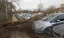 Wichura niszczyła auta. Pogoda daje się we znaki