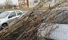 Wichura niszczyła auta. Pogoda daje się we znaki