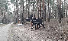 Kto nie lubi dzików? "Sztuczne zwierzęta zagracają las"