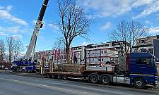 Wycinka już niemodna. Deweloper przesadza dęby