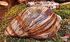 Warszawiacy pokochali... bezkręgowce. Tysiące widzów na wystawie