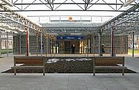 Zielona rewolucja wokół węzła Młociny. Koniec betonowej dżungli?