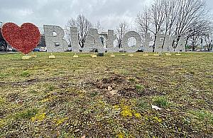 Chytra baba z Białołęki? Cebulki kwiatów poznikały