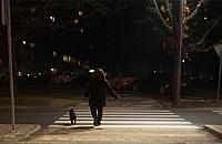 Ubrani na czarno, praktycznie niewidoczni. "Pieszym brakuje wyobraźni"