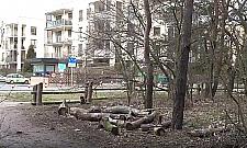 Wielka wycinka w Lesie Bródnowskim. Co się dzieje?