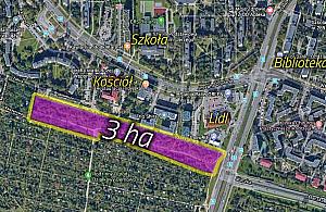 Trzy hektary z potencjałem. "Nowy park na Bielanach"