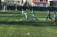 Potencjalnie rakotwórcze. Zagrożona połowa boisk na Woli