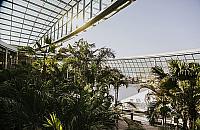 Suntago pracuje mimo epidemii. "To nieodpowiedzialne"