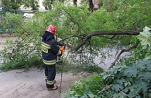 Uwaga na silny wiatr. Ostrzeżenie RCB