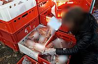 Czy bazary zostaną zamknięte? Ratusz: "Decyduje wojewoda"