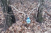 Chciał poprawić swoją odporność. Strażnicy udaremnili produkcję