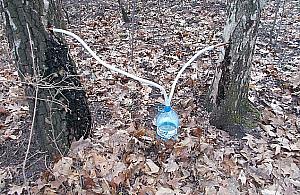 Chciał poprawić swoją odporność. Strażnicy udaremnili produkcję