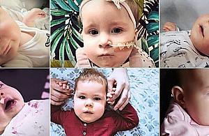 Koronawirus uderza w zbiórki dobroczynne. Dramatyczna sytuacja