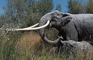 Prehistoryczne odkrycie na budowie. Na Zaciszu żyły słonie
