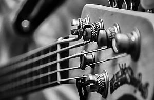 Czego słuchać, co czytać? Przewodnik po kulturze online