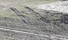 Czego brakuje na tym zdjęciu? Plaża nie wróciła