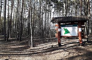 Ratusz potwierdza: "Otwieramy parki i lasy"