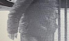 Kradzież przy Lewinowskiej. Rozpoznajesz tych mężczyzn?