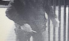 Kradzież przy Lewinowskiej. Rozpoznajesz tych mężczyzn?