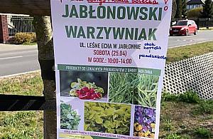 Targowisko tym razem w Jabłonnie. Tylko w sobotę