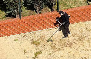 Koszą mimo suszy. "Dajcie chłopakowi zarobić"