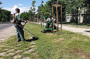 Mania koszenia rozpoczęta. "To zbędne i szkodliwe"