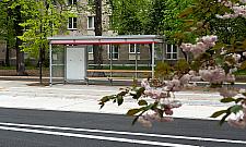 Dużo nowości na Bielanach. "Piękna, miejska aleja"