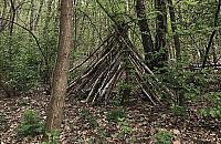 Wysyp dziwnych szałasów w lasach. Bezmyślność rodziców z dziećmi?