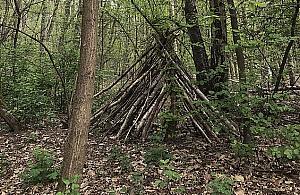 Wysyp dziwnych szałasów w lasach. Bezmyślność rodziców z dziećmi?