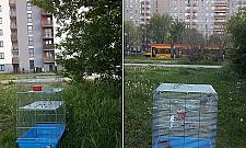 Pupil się znudził i wylądował z klatką w krzakach. "To przestępstwo"