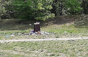 Warszawiacy nie potrafią się zachować w lesie? "Nie zawsze to wina spacerowiczów"