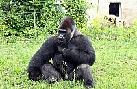 ZOO wraca po przerwie. Kiedy otwarcie?