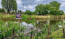 Najsłynniejsza rodzinka na Bielanach. "Ostro pogoniła psa"