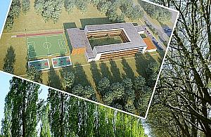 Szkoła "chce zamordować drzewa". Plotka poszła w świat